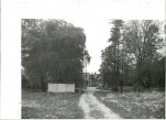 Ewidencja parkowa, skan nr 36