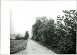 Ewidencja parkowa, skan nr 41