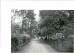 Ewidencja parkowa, skan nr 52