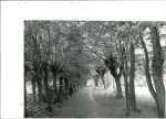Ewidencja parkowa, skan nr 59