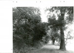 Ewidencja parkowa, skan nr 49