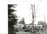 Ewidencja parkowa, skan nr 50