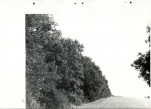 Ewidencja parkowa, skan nr 54