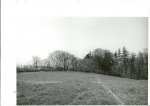 Ewidencja parkowa, skan nr 48