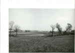 Ewidencja parkowa, skan nr 49