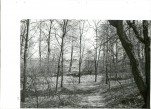 Ewidencja parkowa, skan nr 56
