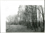 Ewidencja parkowa, skan nr 48