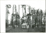 Ewidencja parkowa, skan nr 59