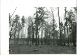 Ewidencja parkowa, skan nr 60