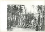 Ewidencja parkowa, skan nr 62