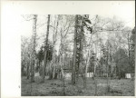 Ewidencja parkowa, skan nr 63
