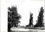 Ewidencja parkowa, skan nr 40