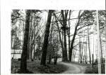 Ewidencja parkowa, skan nr 78
