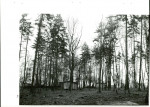 Ewidencja parkowa, skan nr 79
