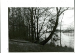 Ewidencja parkowa, skan nr 82