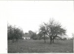 Ewidencja parkowa, skan nr 36