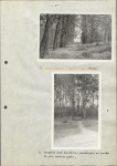 Ewidencja parkowa, skan nr 30