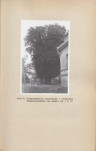 Ewidencja parkowa, skan nr 34
