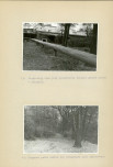 Ewidencja parkowa, skan nr 30