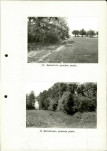 Ewidencja parkowa, skan nr 32