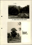 Ewidencja parkowa, skan nr 32