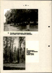 Ewidencja parkowa, skan nr 35