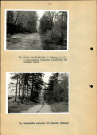 Ewidencja parkowa, skan nr 29