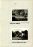 Ewidencja parkowa, skan nr 25