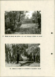 Ewidencja parkowa, skan nr 28