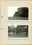 EP - Ewidencja parkowa, skan nr 22