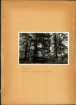 EP - Ewidencja parkowa, skan nr 61