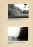Ewidencja parkowa, skan nr 28