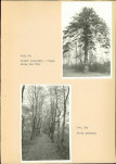 EP - Ewidencja parkowa, skan nr 57