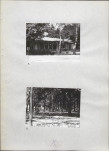 Ewidencja parkowa, skan nr 23