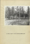 Ewidencja parkowa, skan nr 26