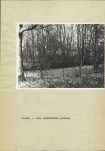 Ewidencja parkowa, skan nr 27