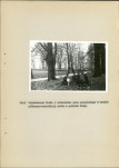 Ewidencja parkowa, skan nr 30