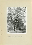 Ewidencja parkowa, skan nr 27