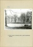 Ewidencja parkowa, skan nr 29