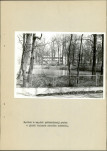 Ewidencja parkowa, skan nr 30