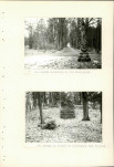 Ewidencja parkowa, skan nr 65