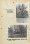 EP - Ewidencja parkowa, skan nr 40