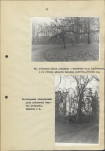 EP - Ewidencja parkowa, skan nr 42