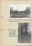 EP - Ewidencja parkowa, skan nr 44