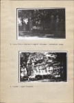 Ewidencja parkowa, skan nr 19