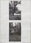 Ewidencja parkowa, skan nr 25