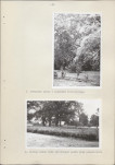 Ewidencja parkowa, skan nr 20