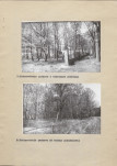 Ewidencja parkowa, skan nr 23