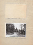 EP - Ewidencja parkowa, skan nr 31
