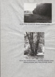 Ewidencja parkowa, skan nr 31